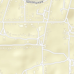 Novozhivotinnoye Street Map