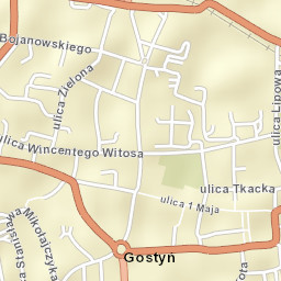 Gostyń Street Map