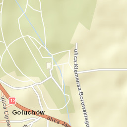 Gołuchów Street Map