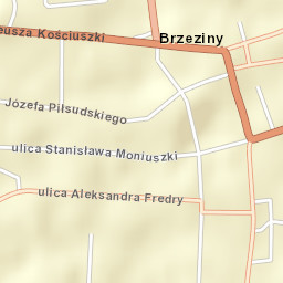 Brzeziny Street Map