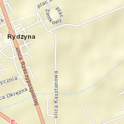 Rydzyna Street Map