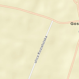Goszczyn Street Map