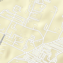 Svetlyy Street Map