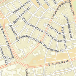 Uden Street Map