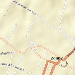 Zduny Street Map