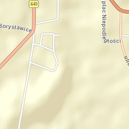 Błaszki Street Map