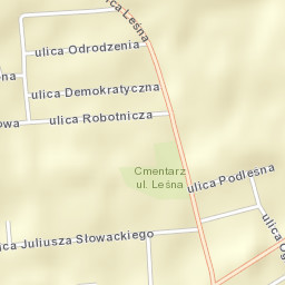 Dobroń Street Map