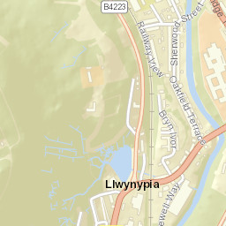 Llwynypia Street Map