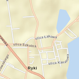 Ryki Street Map