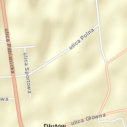 Dłutów Street Map