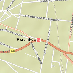 Przemków Street Map