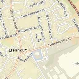 Lieshout Street Map