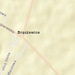 Brąszewice Street Map