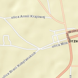 Drzewica Street Map