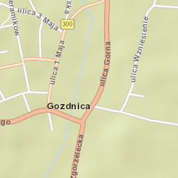 Gozdnica Street Map