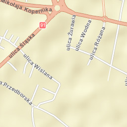 Piotrków Trybunalski Street Map