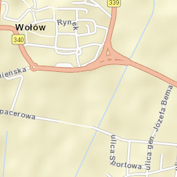 Wołów Street Map