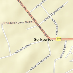 Borkowice Street Map
