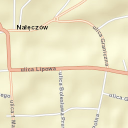 Nałęczów Street Map