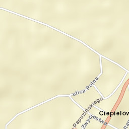 Ciepielów Street Map
