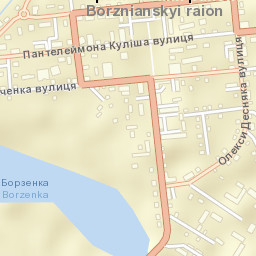 Borzna Street Map