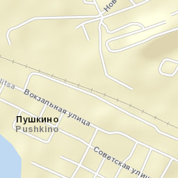 Pushkino Street Map