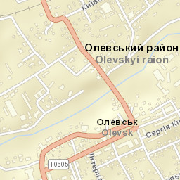 Olevs’k Street Map