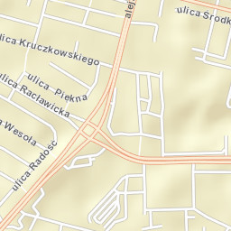 Świdnik Street Map