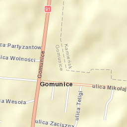 Gomunice Street Map