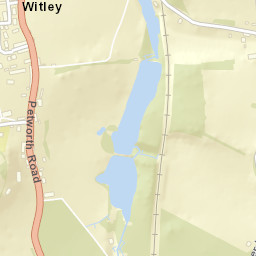 Witley Street Map