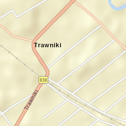 Trawniki Street Map