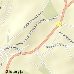 Złotoryja Street Map