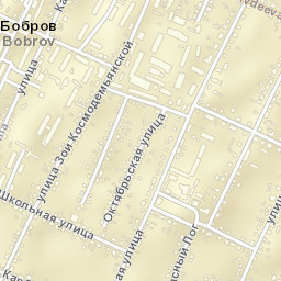 Bobrov Street Map