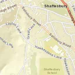 Shaftesbury Street Map