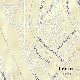 Liski Street Map
