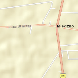 Miedzno Street Map