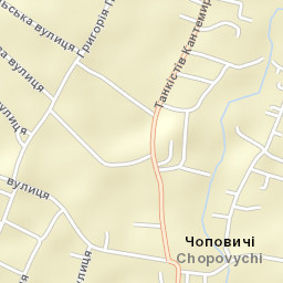 Chopovychi Street Map