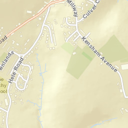 Bradninch Street Map