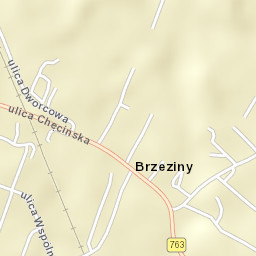 Brzeziny Street Map
