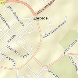 Ziębice Street Map
