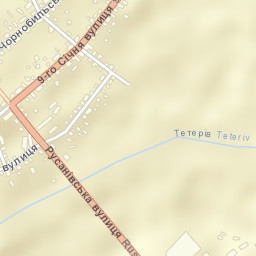 Radomyshl Raion Street Map