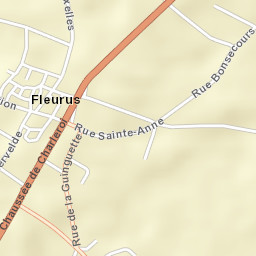Fleurus Street Map