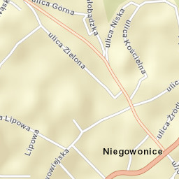Niegowonice Street Map