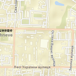 Vyshneve Street Map