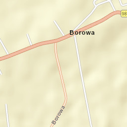 Borowa Street Map