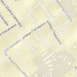 Borzya Street Map