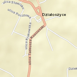 Działoszyce Street Map