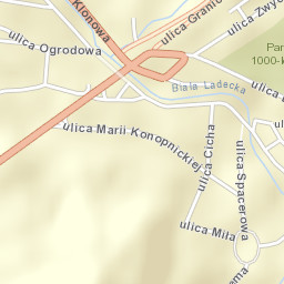 Lądek-Zdrój Street Map