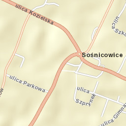 Sośnicowice Street Map