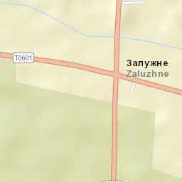 Zaluzhne Street Map